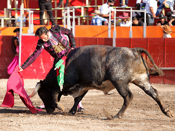 Calidad en la embestida