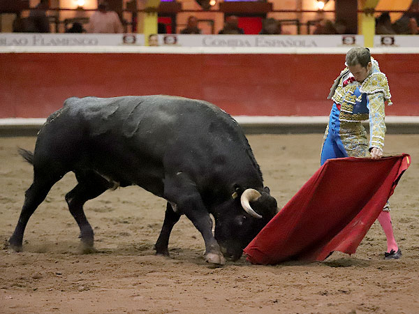 Calidad en la embestida