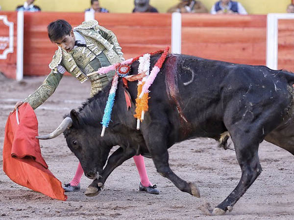 Luci en la San Marcos