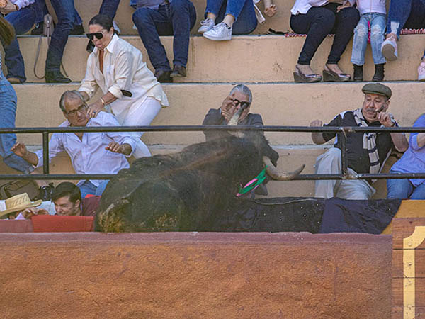 Los pitones sobrepasan a los tubos