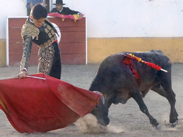 Tirando del crdeno