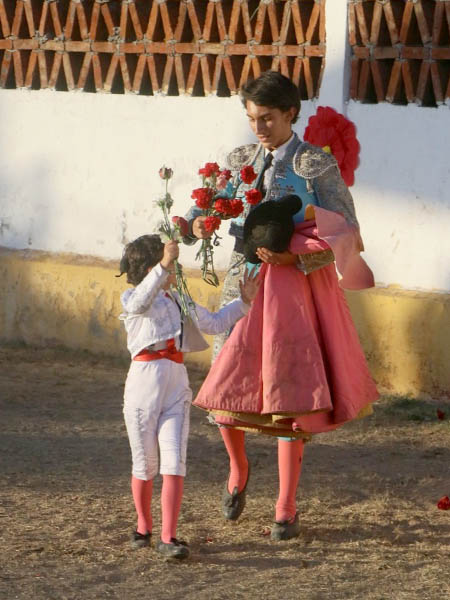 Rosas y claveles