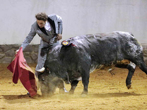 Mando torero