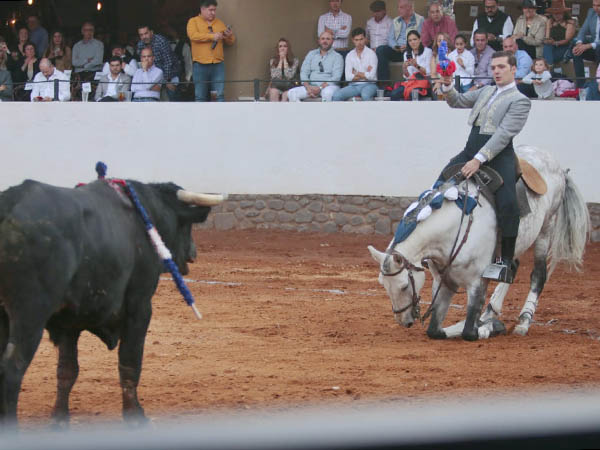 Adornos ecuestres