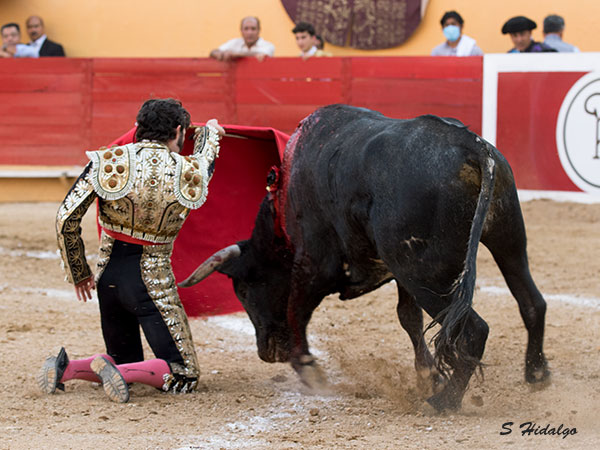 Siempre arriesgando