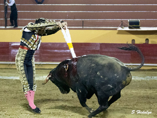 Emocion en banderillas