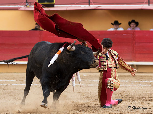 El de pecho, rodilla en tierra