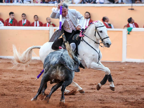 Larga en los medios