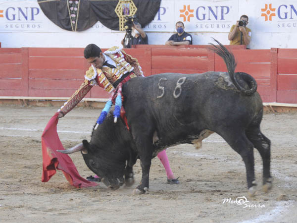 Templando al crdeno