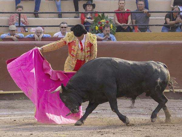 Mecidas vernicas