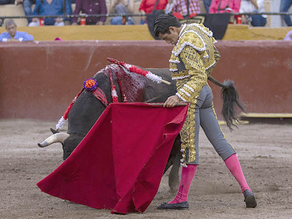 La barbilla encajada