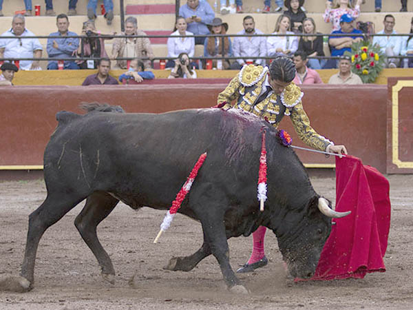 Ayudados a media altura