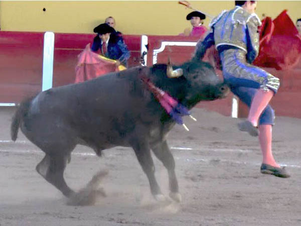 Alcanzado en el muslo