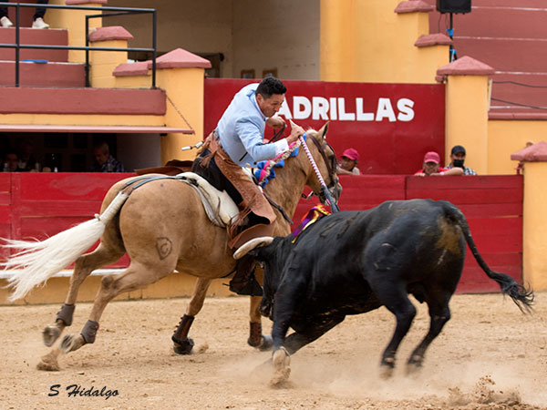 Mario Sandoval, falto redondear