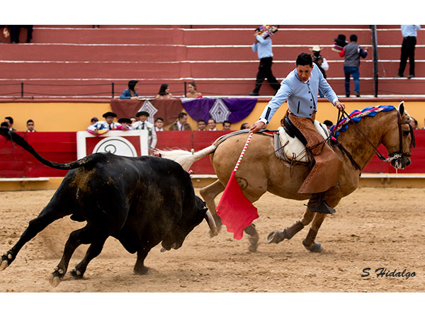 Toreo a caballo