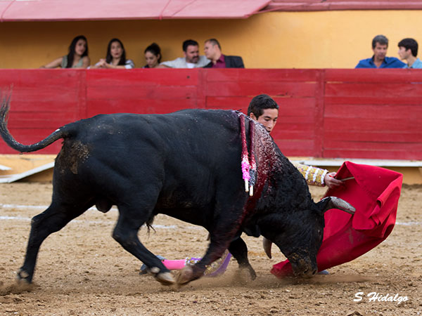 De hinojos