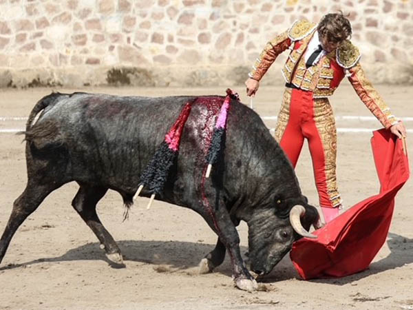 Probaturas por el izquierdo