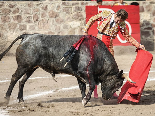 Mostrando el camino