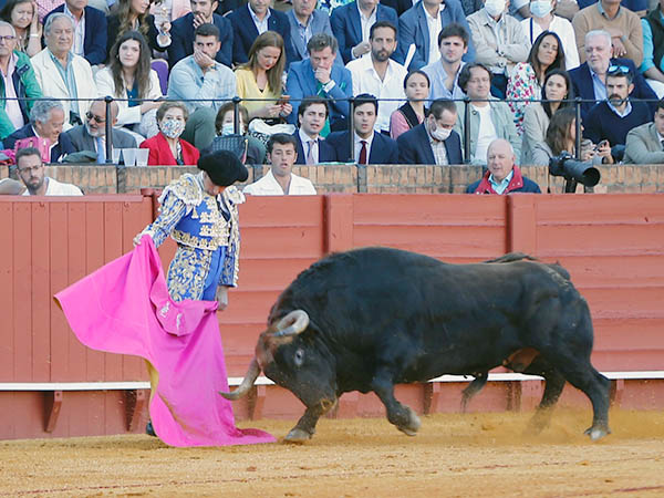 Las vernicas de El Fandi