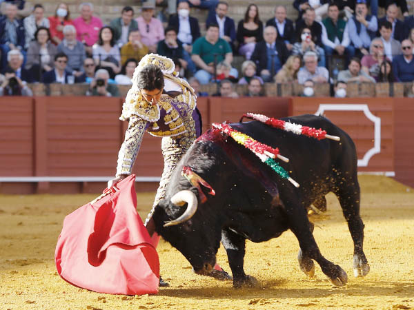 Templando al negro