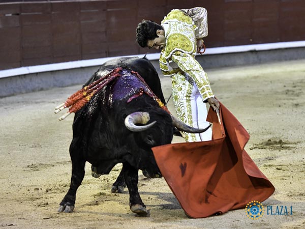 Voluntad de triunfo grande