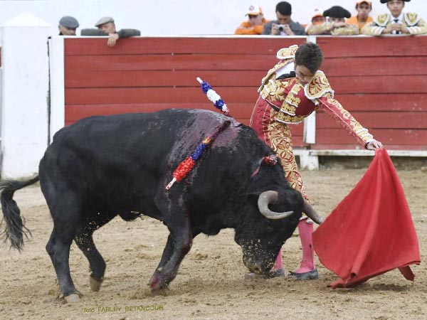 VIvir men torero