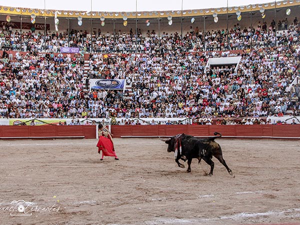 Hierro con brillo propio