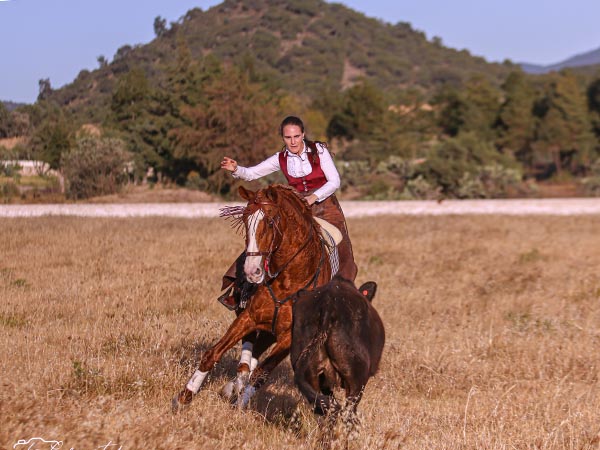 Stef, rejoneo a campo abierto