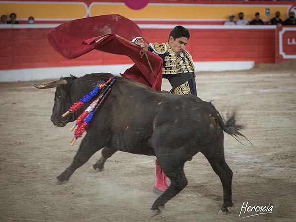 Adornos finales