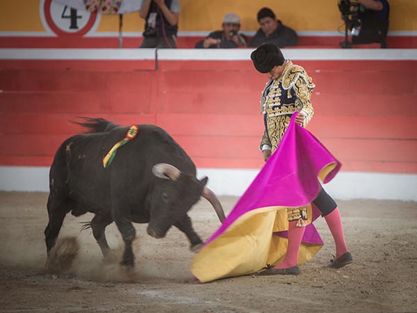 Saludo a la vernica