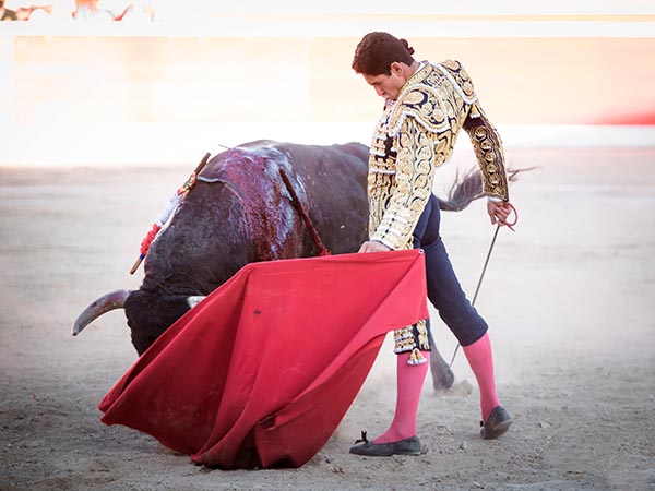 Sentimiento torero