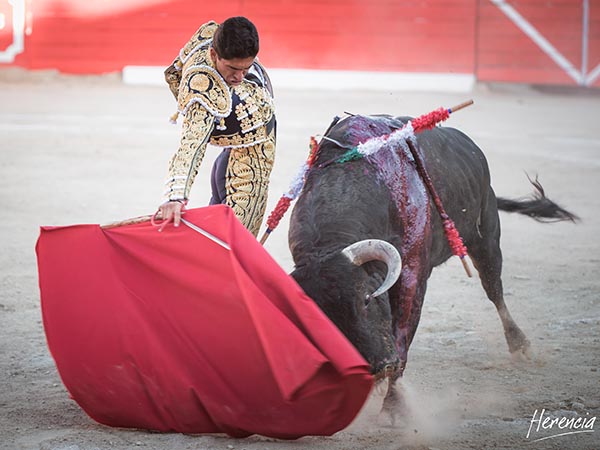 Faena en los medios