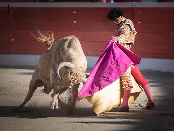 Luis Lpez, primer espada