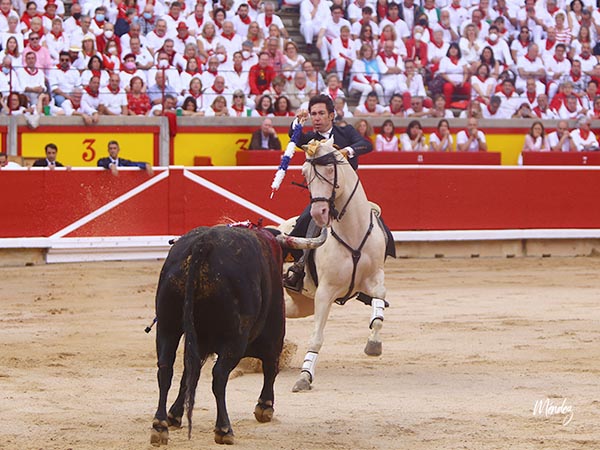 Batida de Leonardo