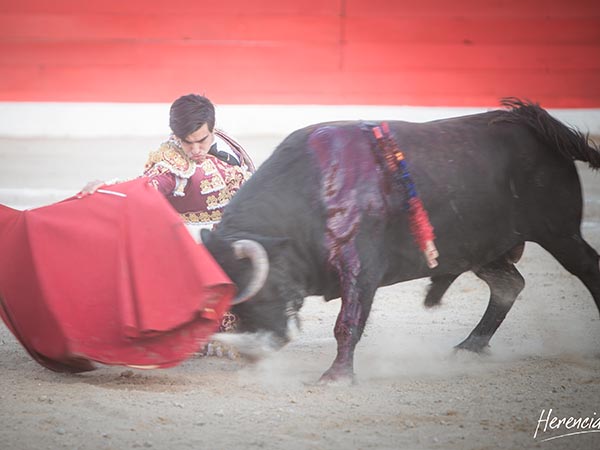 Prlogo rodilla en tierra