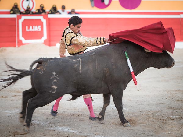 Abrochando la faena