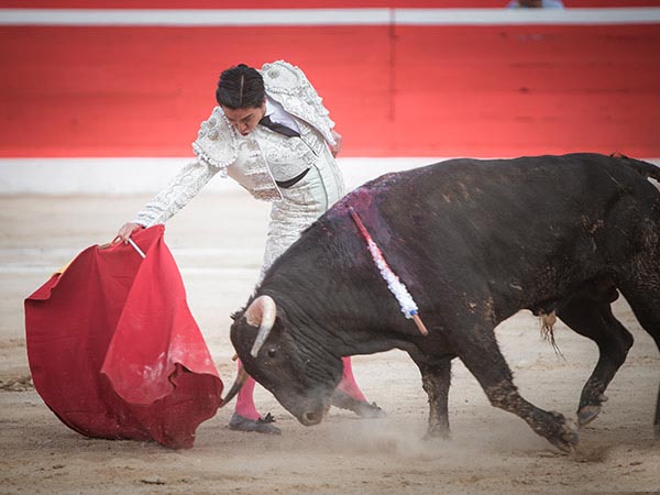 De cuello largo