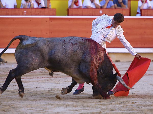 Crdeno de gran caja