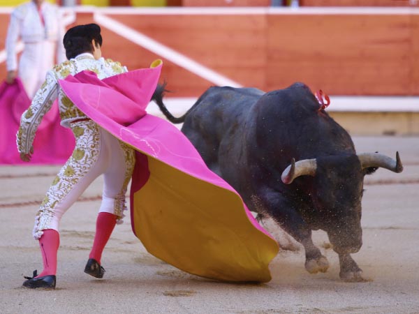 Adornos capoteros