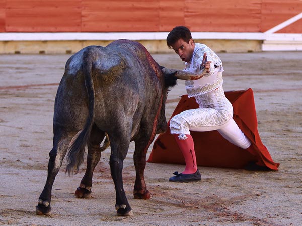 Voluntad de triunfo