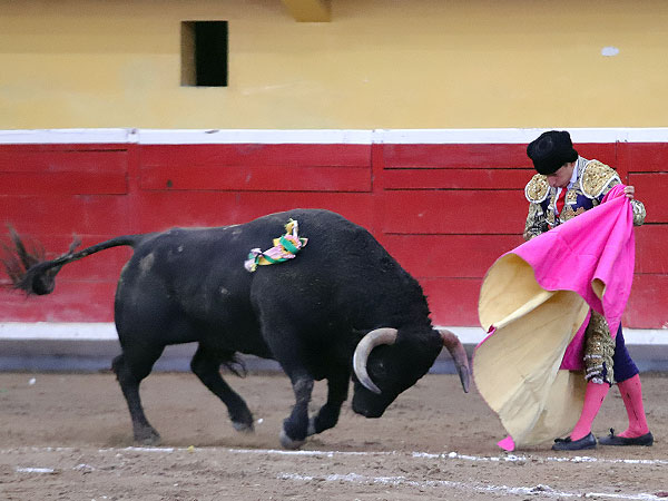 Calidad en la embestida