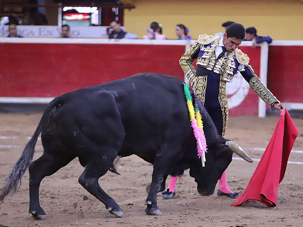 Torero de concepto