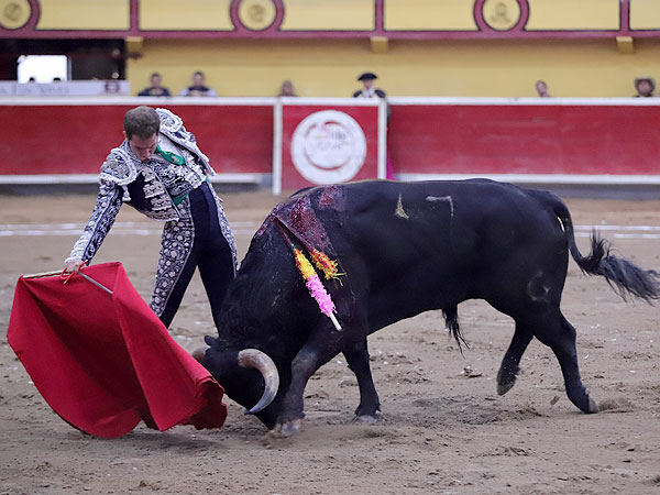 Madurez y torera