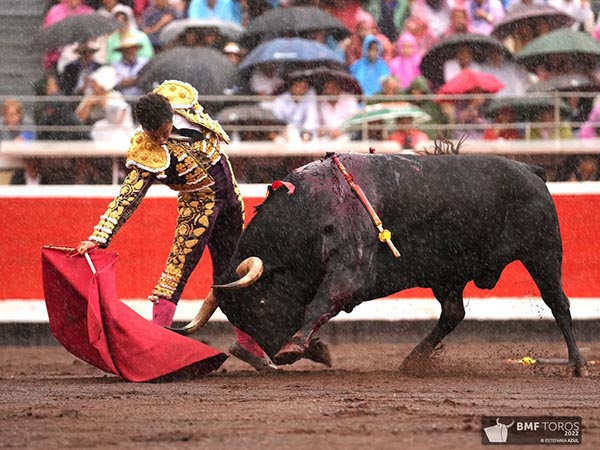 Bajo la llovizna