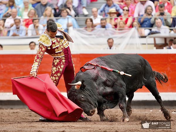 Probaturas por el derecho