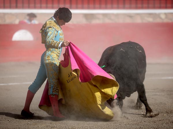 Llaguno, a la vernica