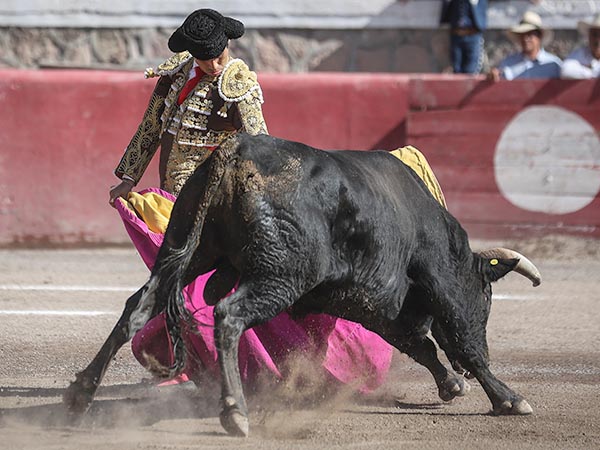 Abrochando el saludo