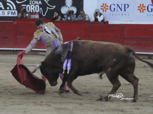 Cabeza torera y expresin