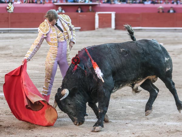 Encontr el ritmo al ejemplar