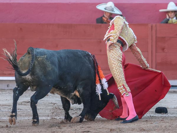 Dos tandas por el derecho